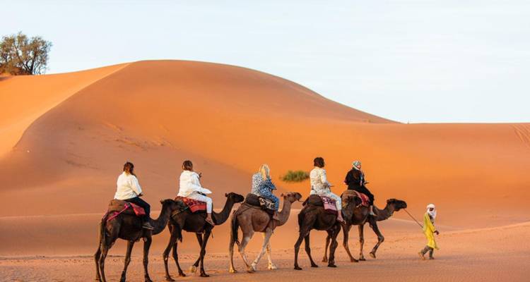 Los viajeros montan camellos en fila india a través de dunas de color naranja ardiente.