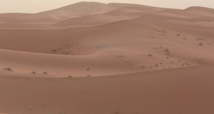 Suaves dunas ondulantes de arena rojiza que se extienden hasta el horizonte brumoso en el desierto del Sahara.