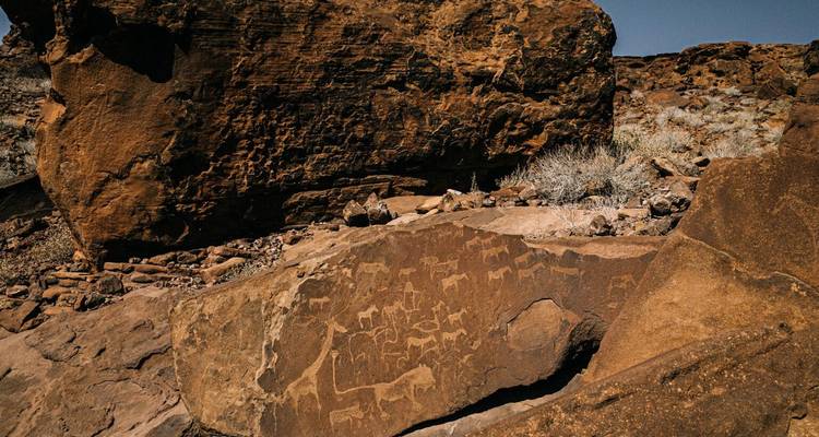D'anciens pétroglyphes d'animaux sont gravés dans une dalle de grès réchauffée par le soleil à Twyfelfontein.