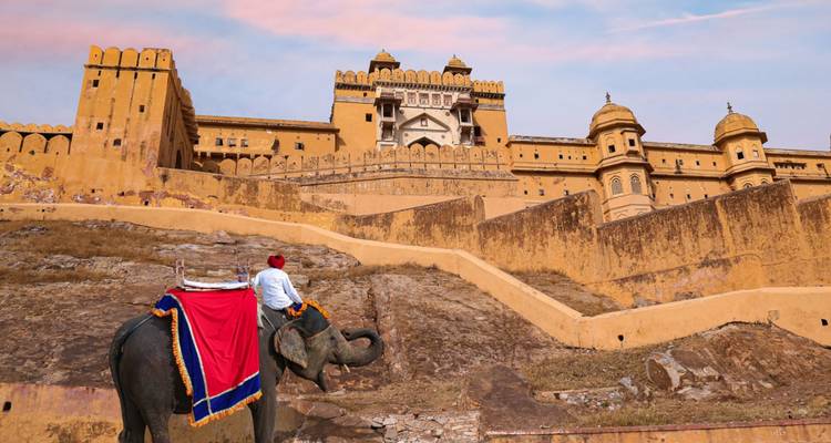 Mahout die versierde olifant berijdt klimmend naar de imposante muren van Amber Fort in de gloed van zonsopgang.