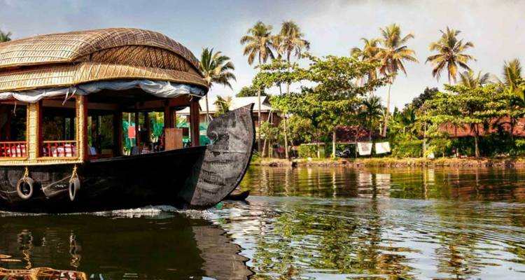 Close-up van een rietgedekte Kerala woonboot die langs groene waterwegen omzoomd met palmbomen glijdt.