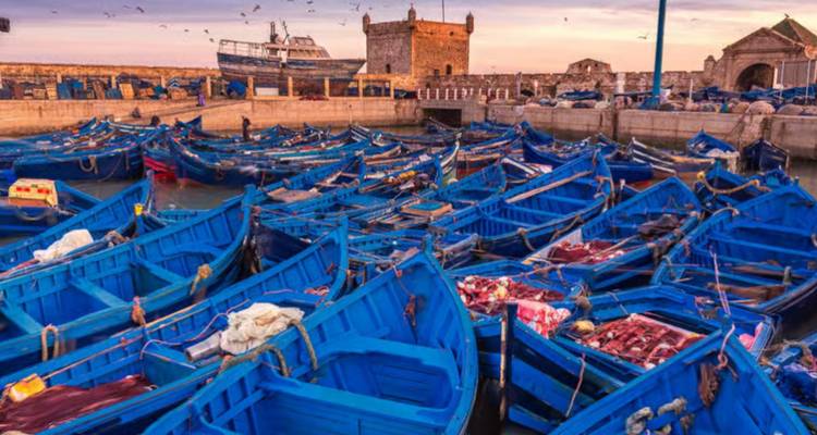 Dozens of vivid blue wooden fishing boats moored in a historic stone harbor at dusk.