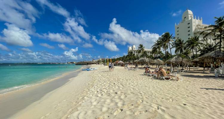 Sandy tropical beach with sunbathers on loungers, swimmers in clear water and a palm-lined resort hotel in the background