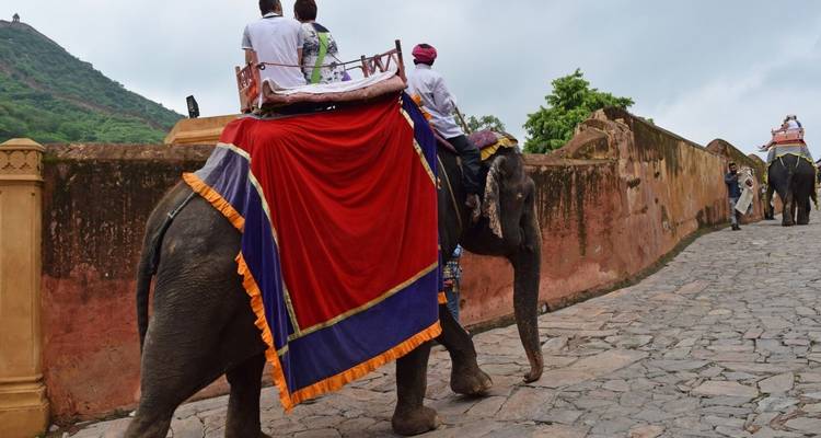 Des touristes chevauchant des éléphants décorés sur le chemin pavé menant au Fort d'Amber
