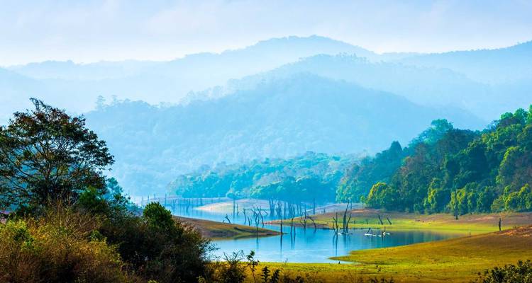 Misty blue ridges rising above a tranquil lake with submerged tree trunks in Periyar National Park.