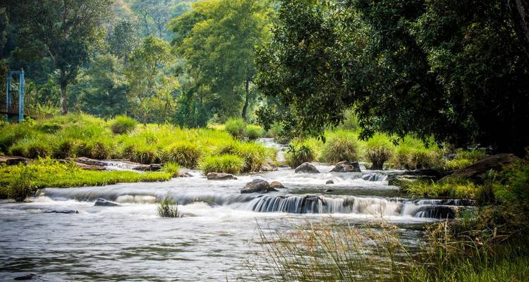 Sanfter Fluss, der über flache Felskanten fließt, umgeben von üppigem Grün und Bäumen.