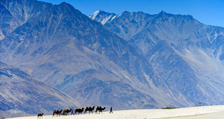 Kamelkarawane überquert weiße Sanddünen mit dramatischen zerklüfteten Bergen, die dahinter aufragen