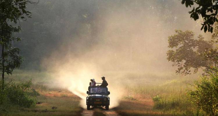 Open-top safari jeep kicking up dust along a forest track in warm morning light.