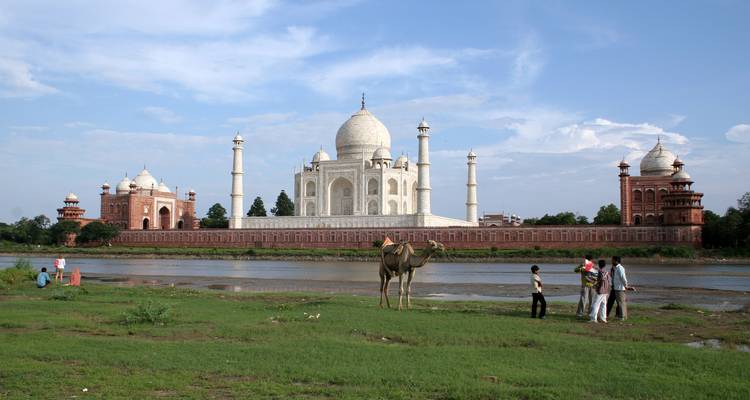 Iconische witte marmeren Taj Mahal omlijst door blauwe lucht en weerspiegeld in de Yamuna rivier, met een kameel en bezoekers op de voorgrond.
