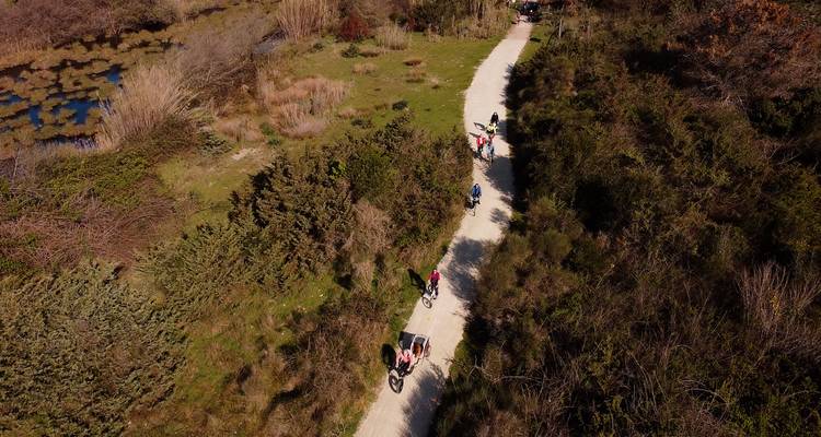 Aerial view of a line of cyclists on a white gravel trail through scrubland and wetlands.