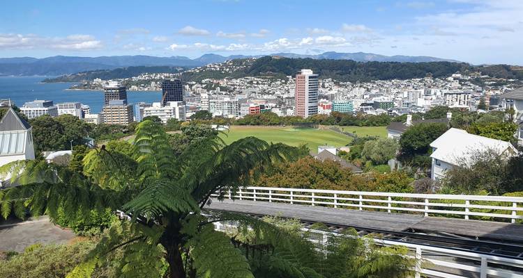 Panoramisch uitzicht op de stad Wellington, de haven en groene heuvels vanaf een uitkijkpunt op een heuvel.