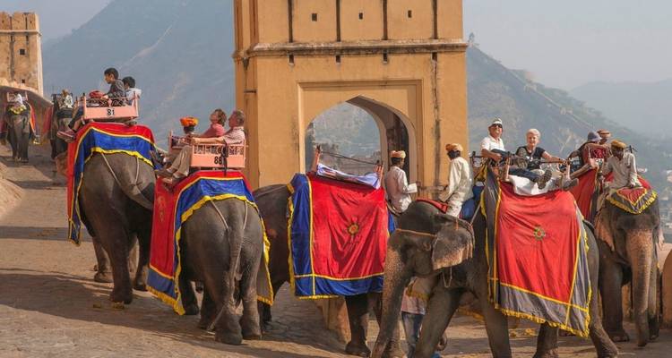 Farbenfroh geschmückte Elefanten tragen Touristen die Wälle des Amber-Forts bei Jaipur hinauf.