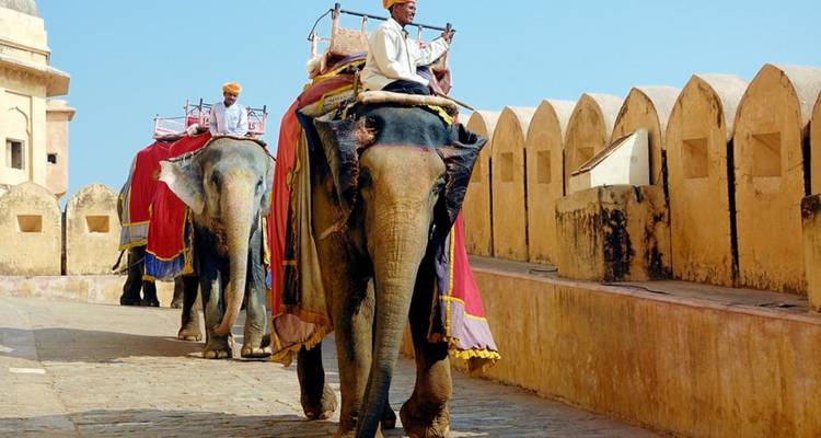 Touristen reiten auf geschmückten Elefanten entlang der Stadtmauern des Amber Fort.