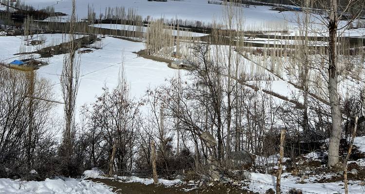 Valle cubierto de nieve con árboles sin hojas y campos en terrazas visto desde la ladera