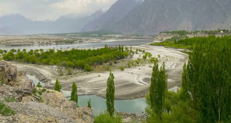Delta serpenteante de río verde enmarcada por álamos altos y montañas grises dramáticas