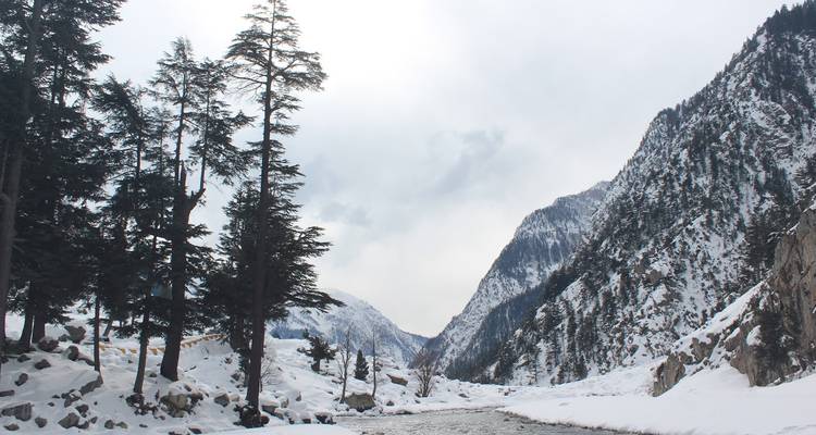 Valle de pinos cubiertos de nieve con río fluyendo entre montañas escarpadas
