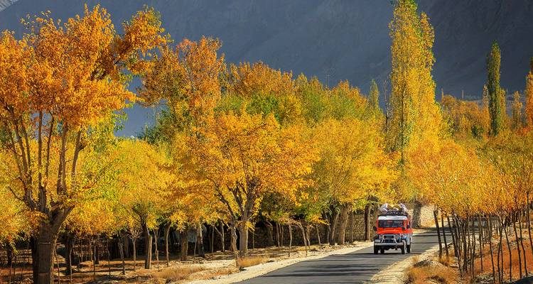 Árboles otoñales vibrantes bordeando un camino rural con un camión paquistaní colorido conduciendo a través