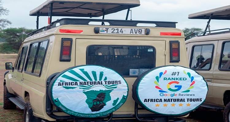 Safari jeeps with spare-tyre covers advertising Africa Natural Tours parked on dirt.