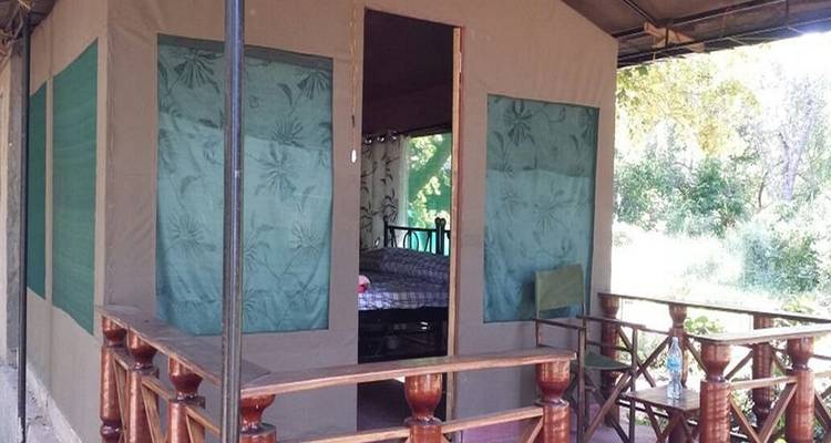 Simple raised canvas tent with wooden veranda and open doorway in a forested camp.