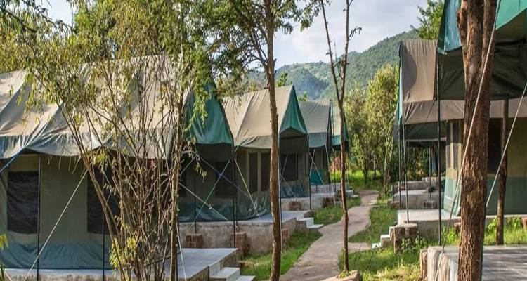 Row of canvas safari tents nestled among trees with hills in background.
