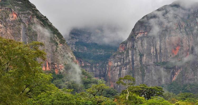 Misty cloud forest with towering red-streaked cliffs and lush green vegetation.