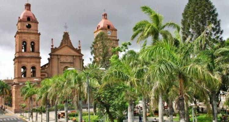 Historic cathedral with twin towers surrounded by lush palm trees under overcast sky in a central plaza.
