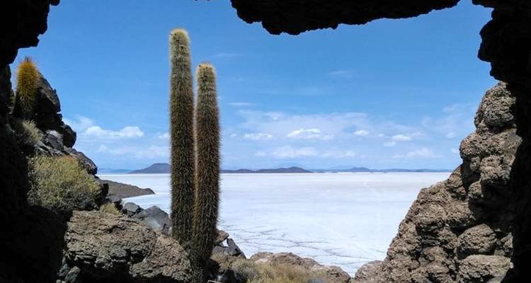 View through a rocky cave of tall cacti standing beside the blinding white Uyuni salt flats.