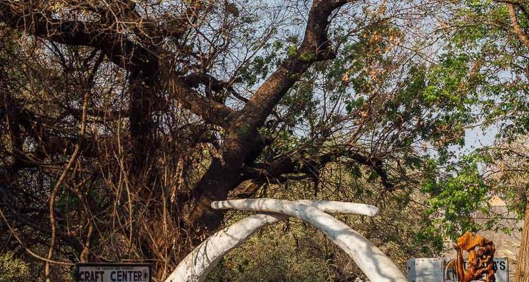 Close-cropped image of an entrance sign with trees and tangled vines around it near Victoria Falls.