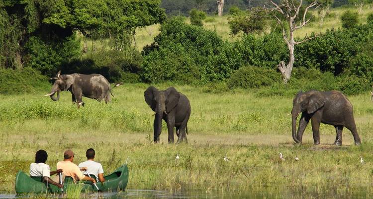 Tourists paddle a green canoe past grazing elephants in a lush riverside grassland.