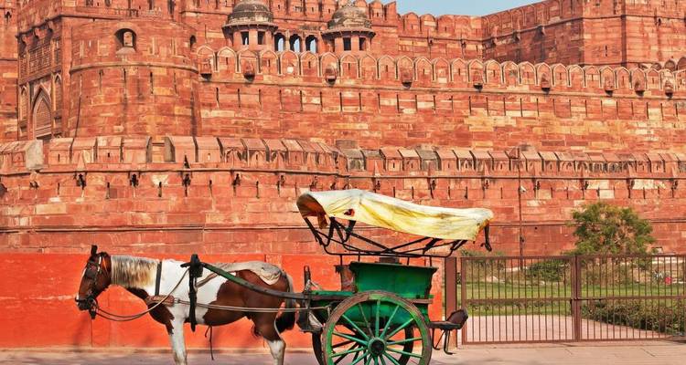 Een groene paardenkar staat voor de massieve rood-zandstenen muren van Agra Fort.