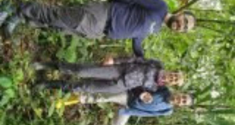 Blurry sideways photo of three trekkers posing in dense green jungle.