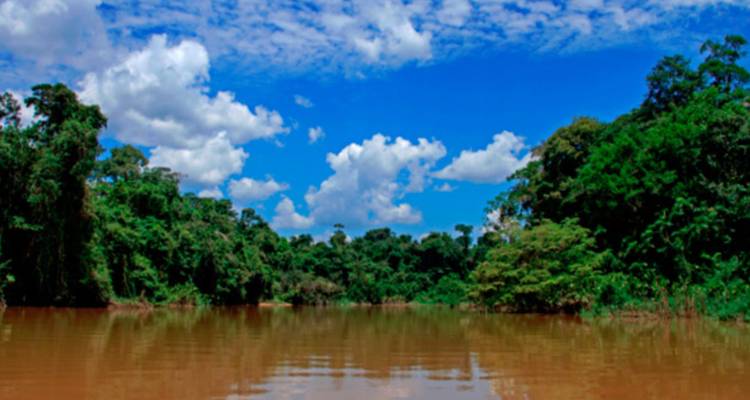 Vue large d'une rivière amazonienne boueuse bordée par une forêt tropicale dense et verte sous un ciel bleu lumineux.