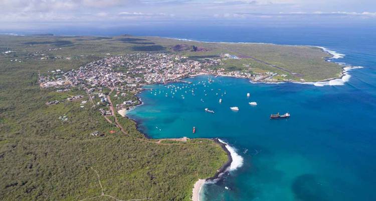 Luftaufnahme einer Küstenstadt, des Hafens und bewaldeter Landzungen, umgeben von tiefblauem Ozean.