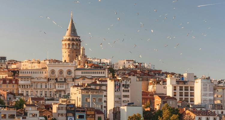 Lumière dorée sur la tour de Galata s'élevant au-dessus du dense horizon historique avec des volées de mouettes.