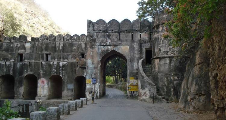 Steintor einer alten Festung, flankiert von Bäumen in Ranthambore, Indien.
