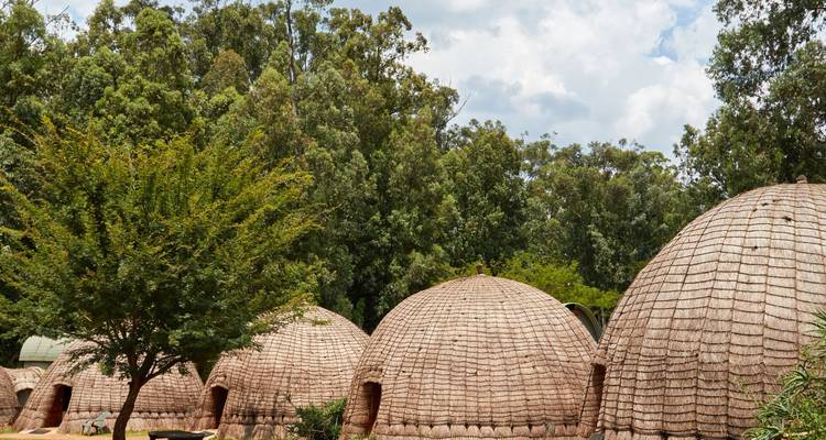 Row of traditional Swazi beehive-shaped thatched huts set among tall trees.