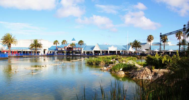 Lakefront shopping complex with blue-roofed buildings and palm trees reflected in the water.