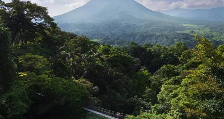 Un pont suspendu enjambe une forêt tropicale luxuriante avec le volcan Arenal brumeux qui se dresse majestueusement en arrière-plan.