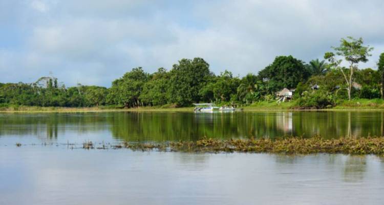 Lagon tranquille et contemplatif bordé de verdure tropicale avec un petit bateau au loin.