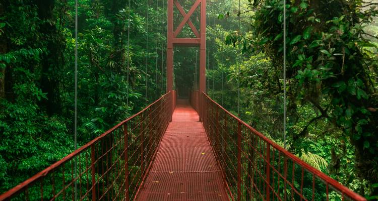 Un pont suspendu en métal rouge s'étend dans la verdure luxuriante de la forêt nuageuse.
