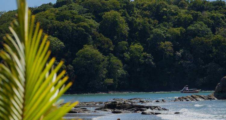La forêt tropicale côtière rencontre le rivage rocheux avec un petit bateau dans l'eau bleue.