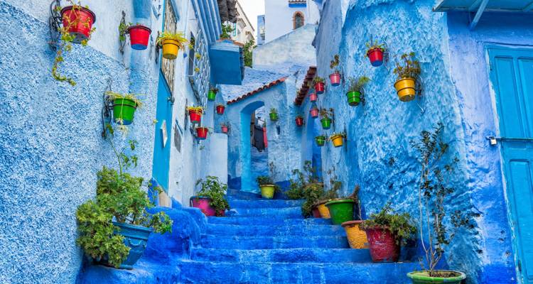 Vibrant blue-painted alley with colorful flowerpots in the medina of Chefchaouen.