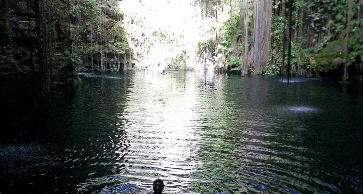 Un cénote profond aux eaux vert émeraude sombre, avec des lianes suspendues et une ouverture ensoleillée au-dessus, où un nageur solitaire profite de ce bassin naturel.