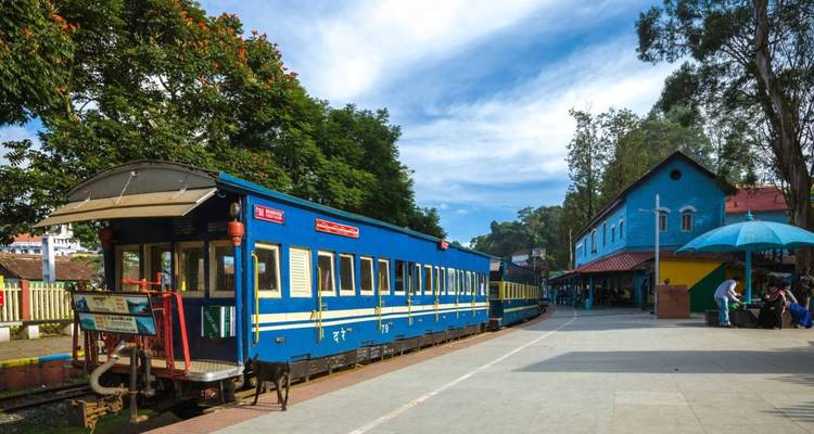 The blue Nilgiri Mountain Railway train waits at a leafy station with passengers nearby.
