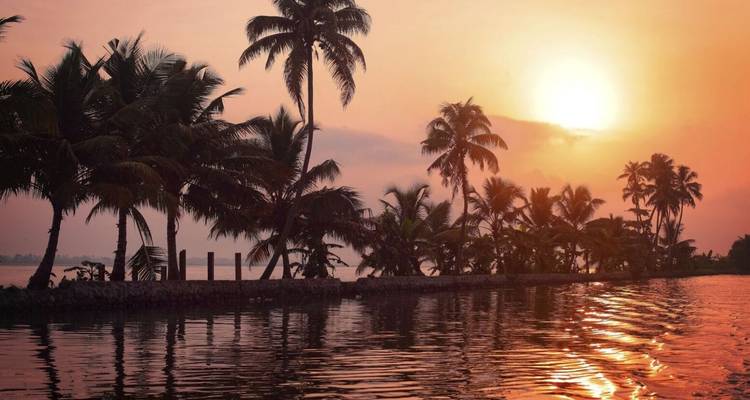 Golden sunset reflects on calm backwater channels lined with silhouettes of leaning palm trees.