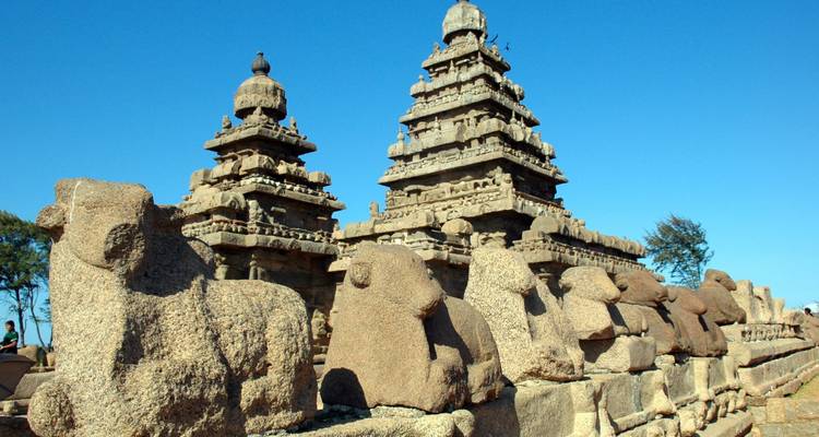 Granitskulpturen sitzender Stiere flankieren den antiken Küstentempel in Mahabalipuram.
