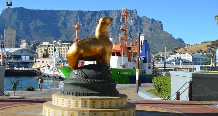 Gouden zeehond standbeeld op Kaapstad's V&A Waterfront met havenvaartuigen en Tafelberg op de achtergrond.