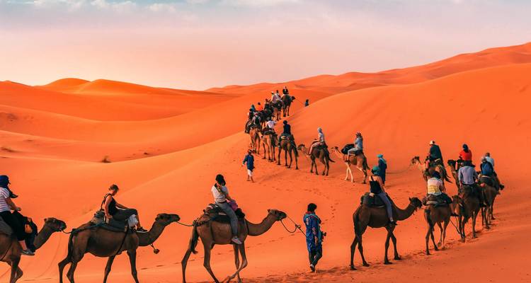 Een lange karavaan van reizigers die op kamelen over levendige oranje zandduinen onder een heldere blauwe hemel rijden.