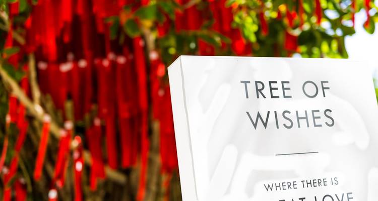 Gros plan d'un panneau indiquant "Arbre aux Souhaits" avec des centaines de rubans rouges suspendus aux branches en arrière-plan