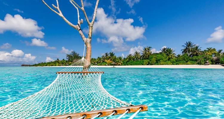 Hamac-filet attaché à un tronc d'arbre solitaire dressé dans une eau turquoise peu profonde face à une plage bordée de palmiers